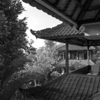 bali0959