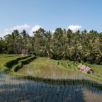 bali0971