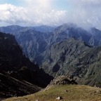 collectie 89pano madeira 3